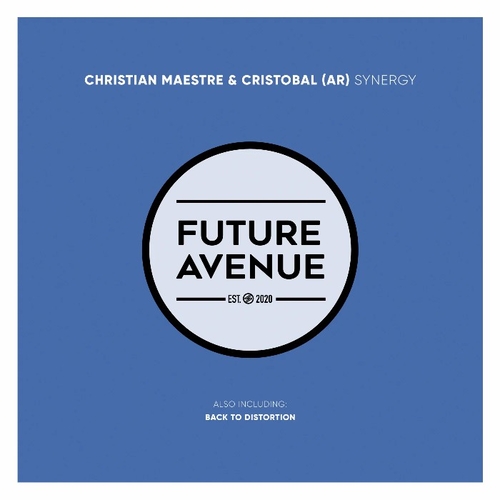 Christian Maestre & Cristobal (AR) - Synergy [FA433]